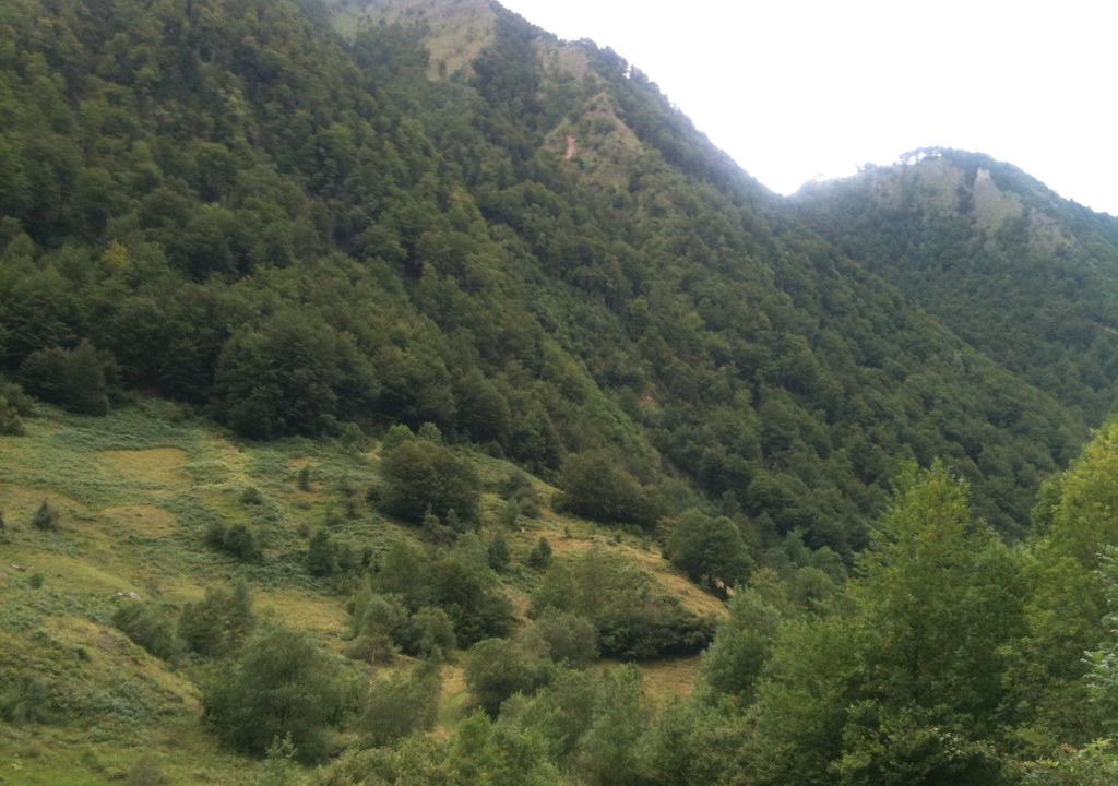 Photo of Outdoor in Guzet Neige