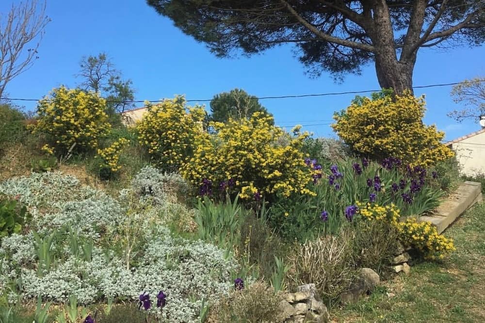 Photo of Outdoor in Montgaillard-Lauragais