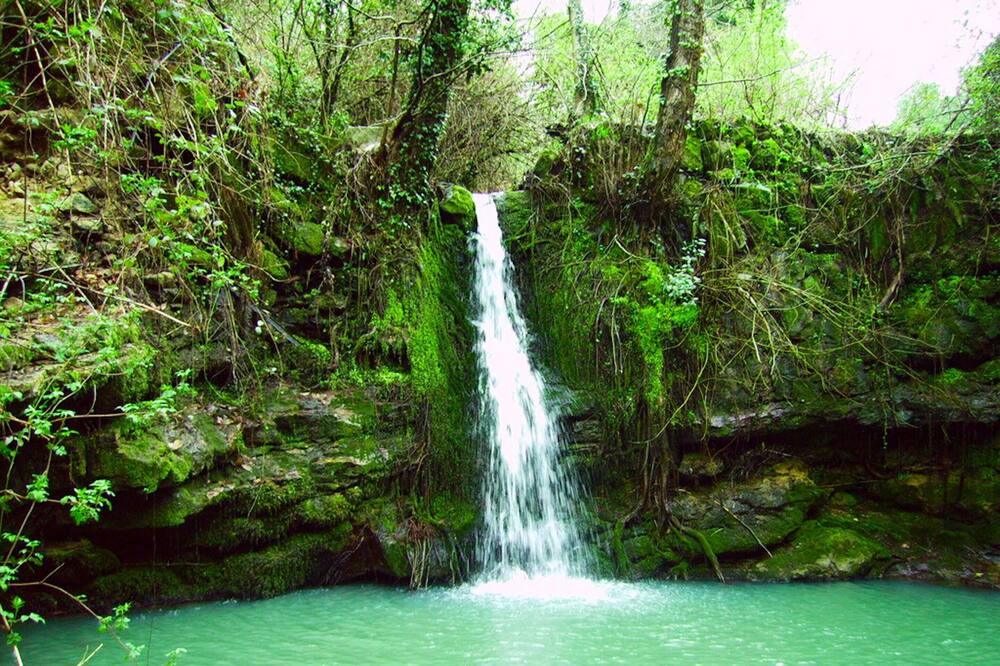 Photo of Outdoor in Saint-Paul-le-Jeune