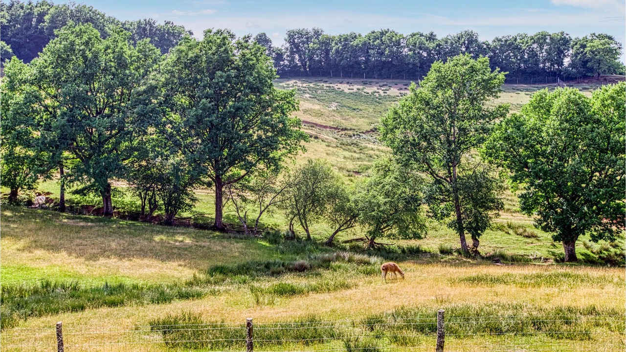 Photo of Outdoor in Gages