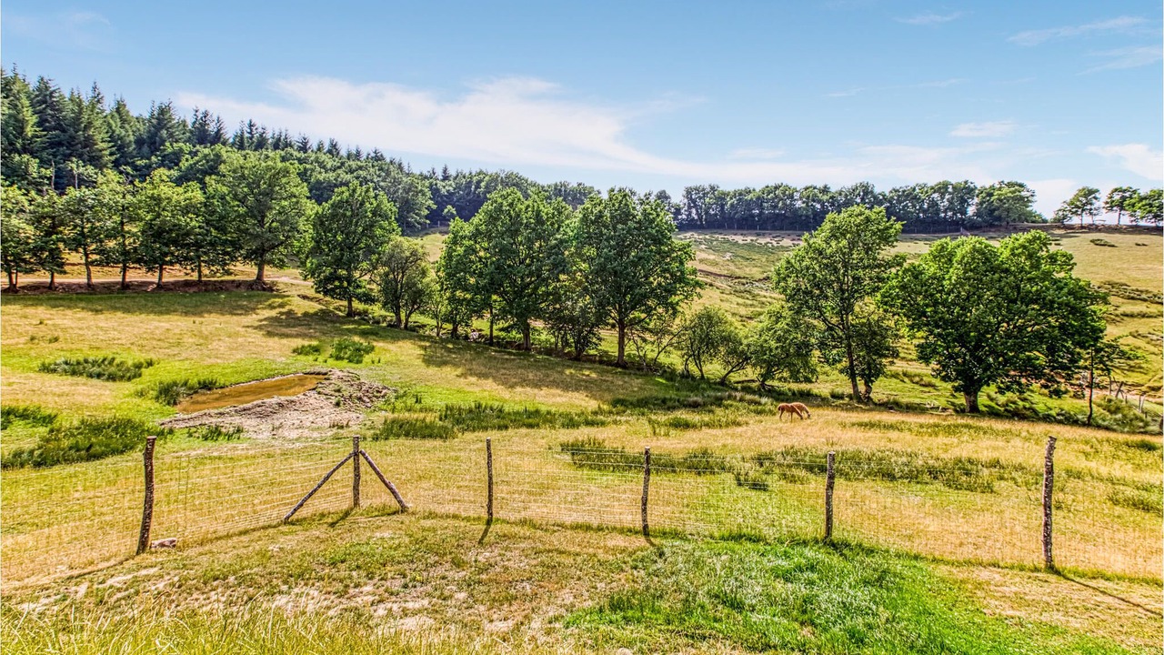 Photo of Outdoor in Gages