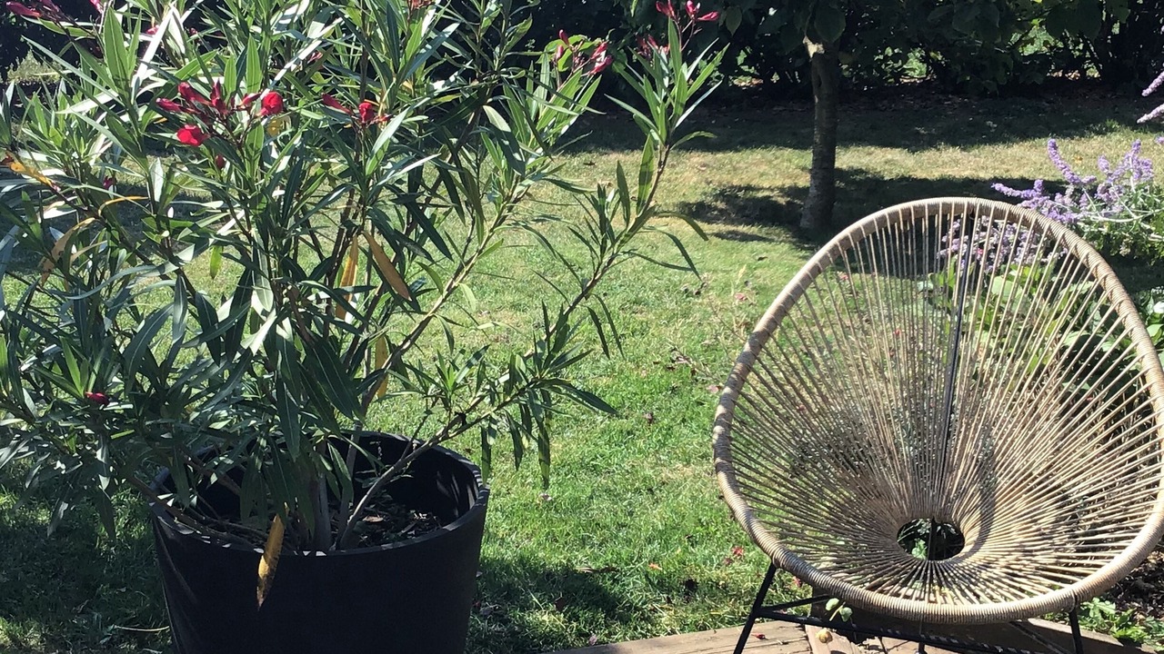 Photo of Outdoor in Doussard