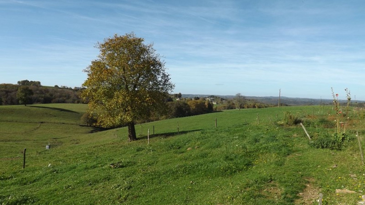 Photo of Outdoor in Arnac
