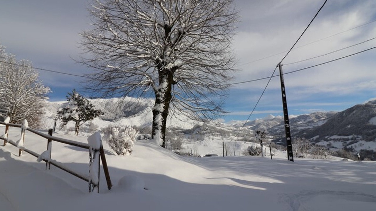 Photo of Others in Saint-Cirgues-de-Jordanne