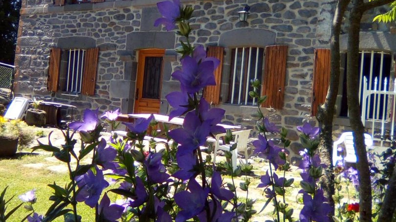 Photo of Others in Cussac
