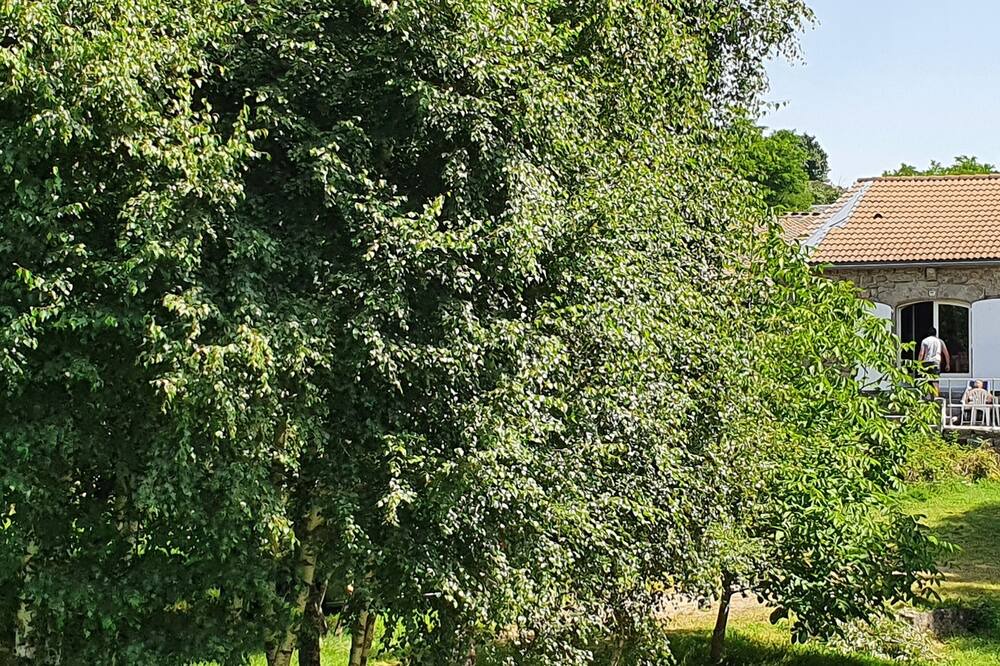 Photo of Outdoor in Lajo