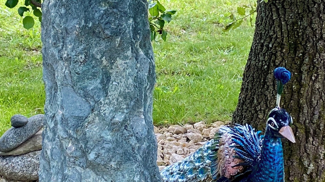Photo of Others in Sainte-Cecile-les-Vignes