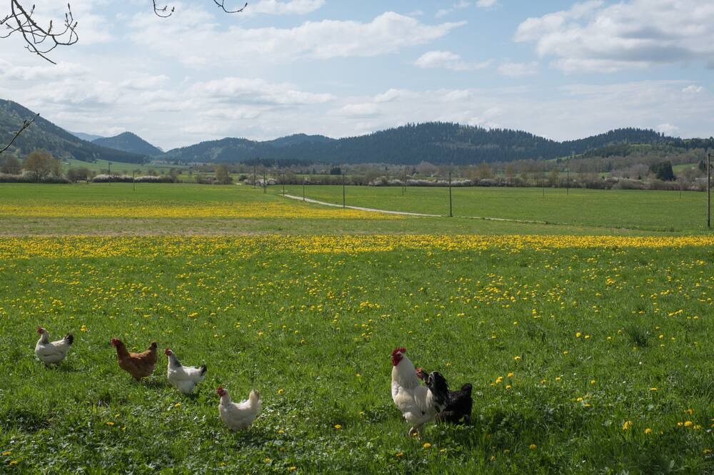 Photo of Others in Roquefeuil