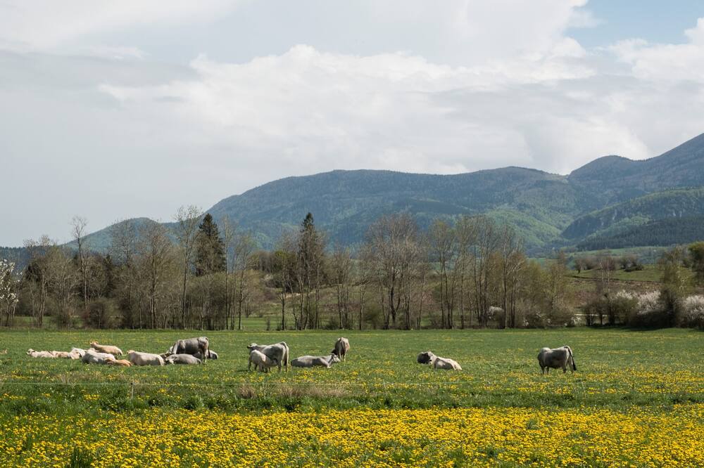 Photo of Outdoor in Roquefeuil