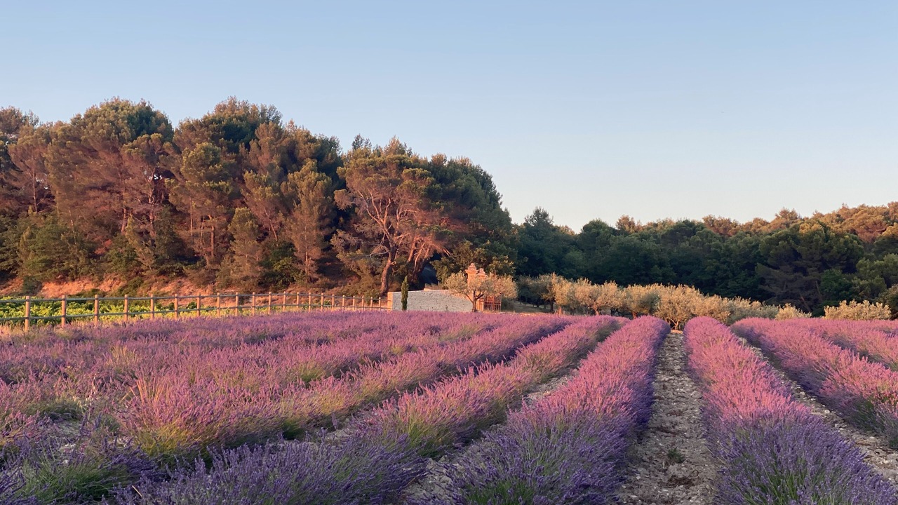 Photo of Outdoor in Villedieu
