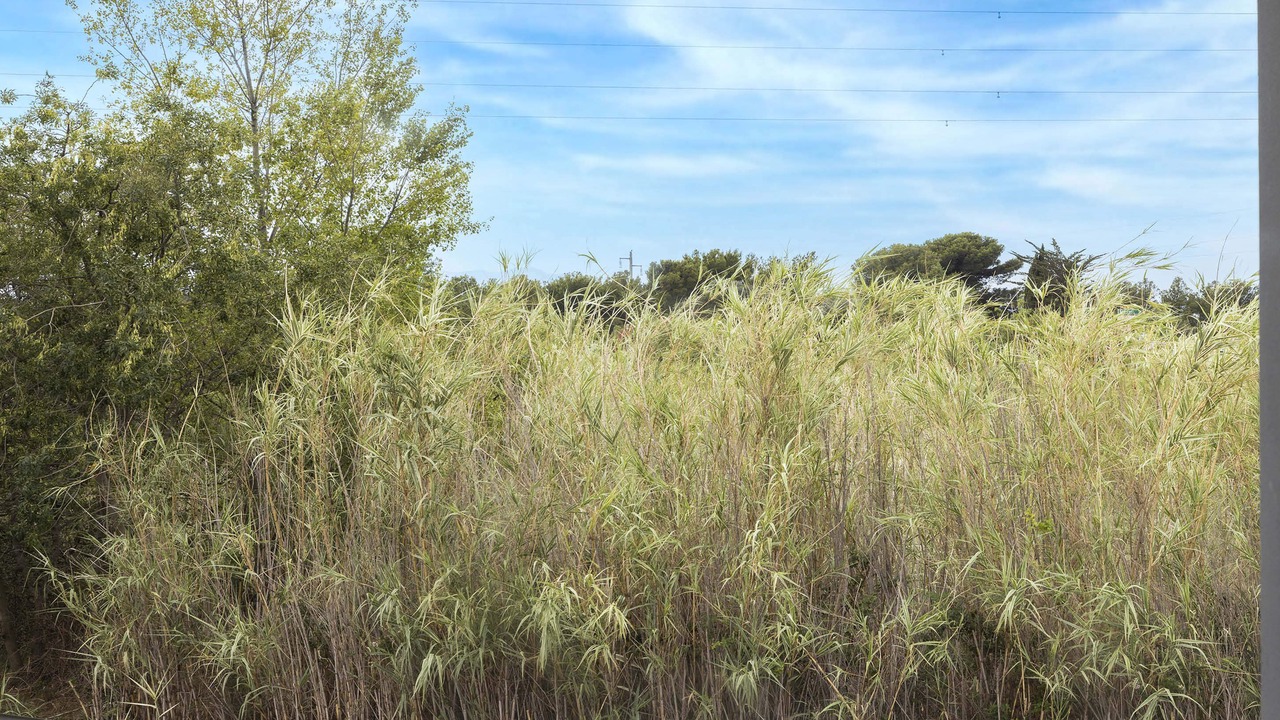 Photo of Others in Perpignan