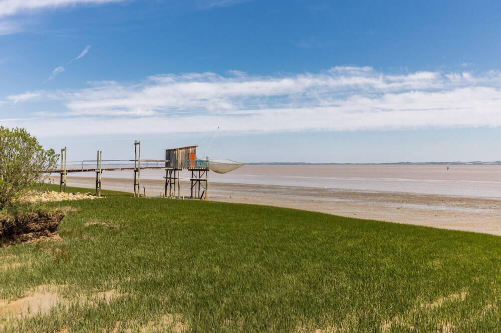 Photo of Others in Saint-Yzans-de-Medoc