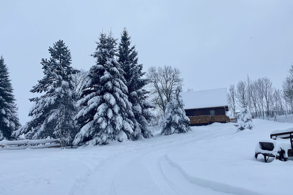 Photo of Outdoor in Saint-Genes-Champespe