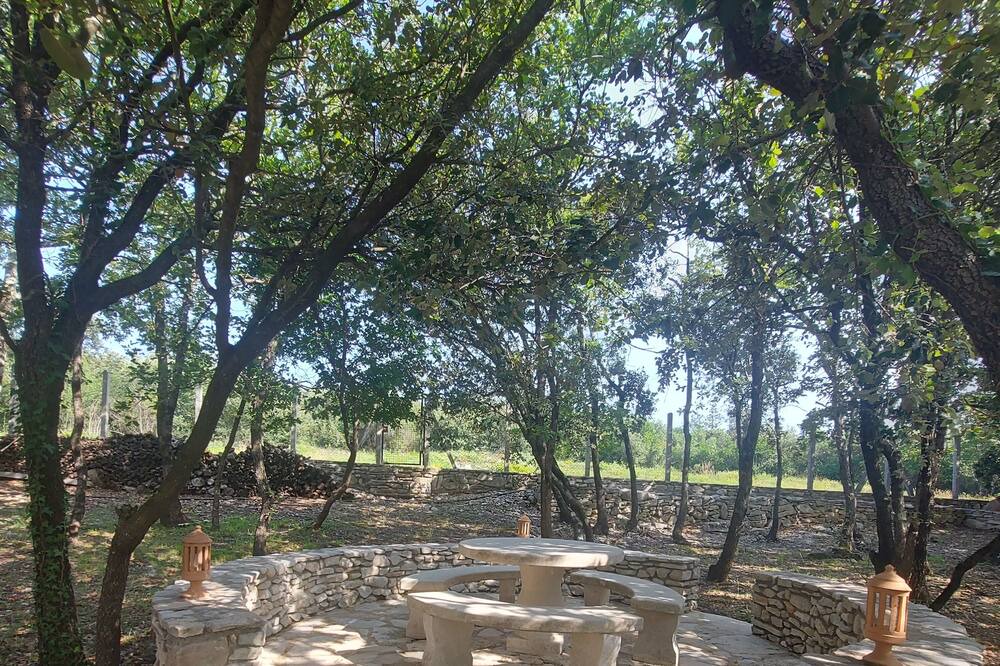 Photo of Outdoor in Monteils