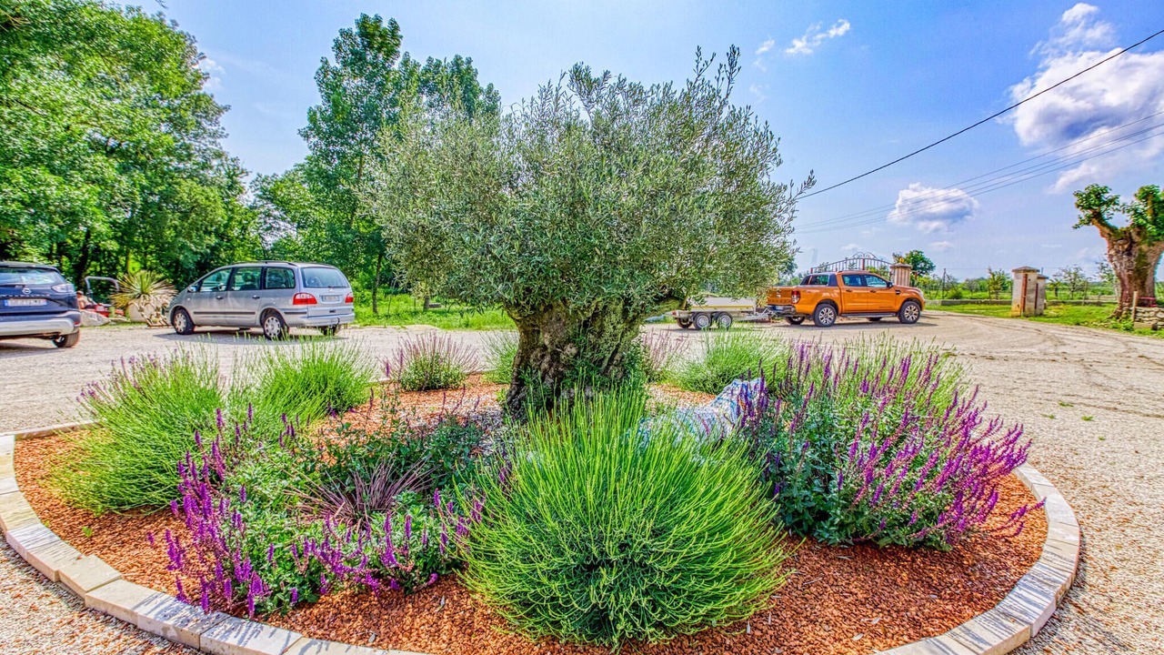 Photo of Outdoor in Septfonds