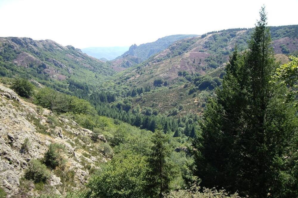 Photo of Others in Rosis