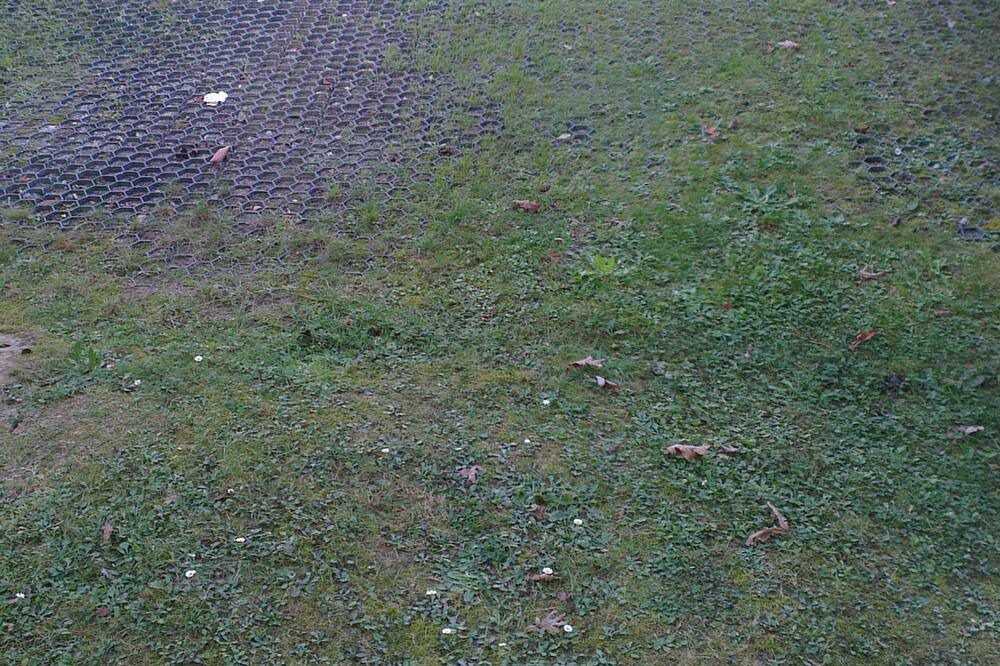 Photo of Outdoor in Lahonce