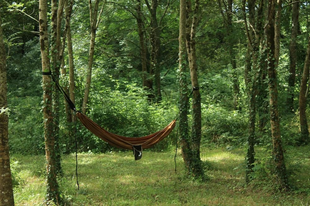 Photo of Outdoor in Pey