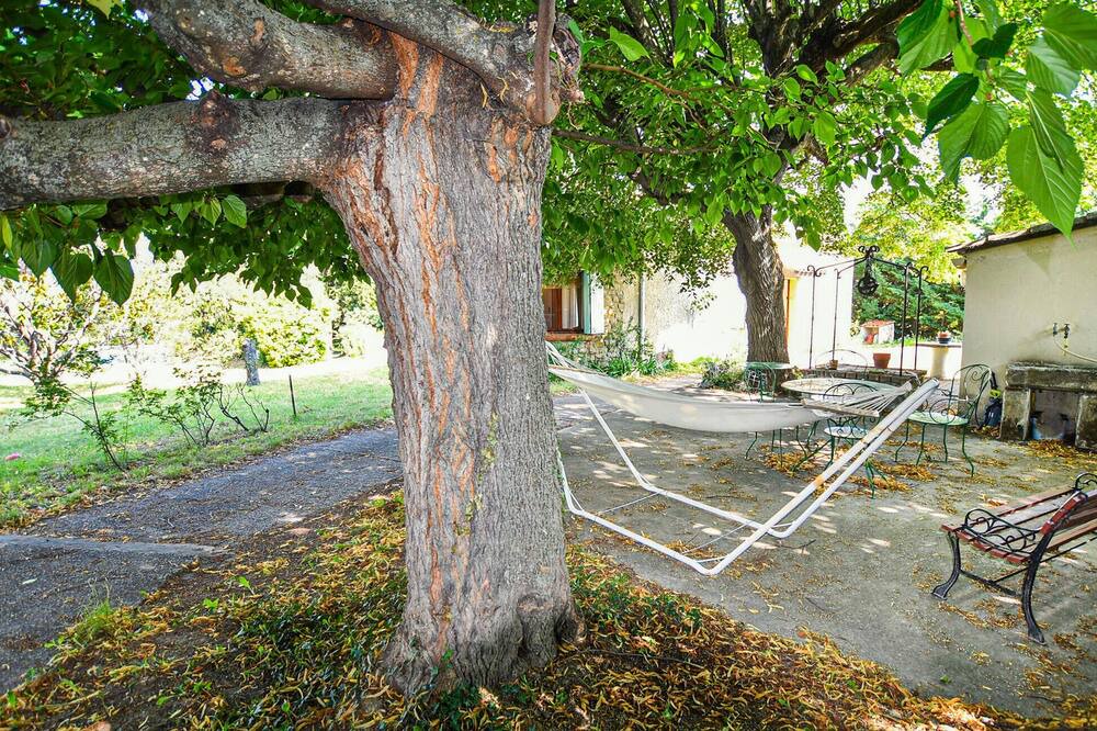 Photo of Others in Taulignan