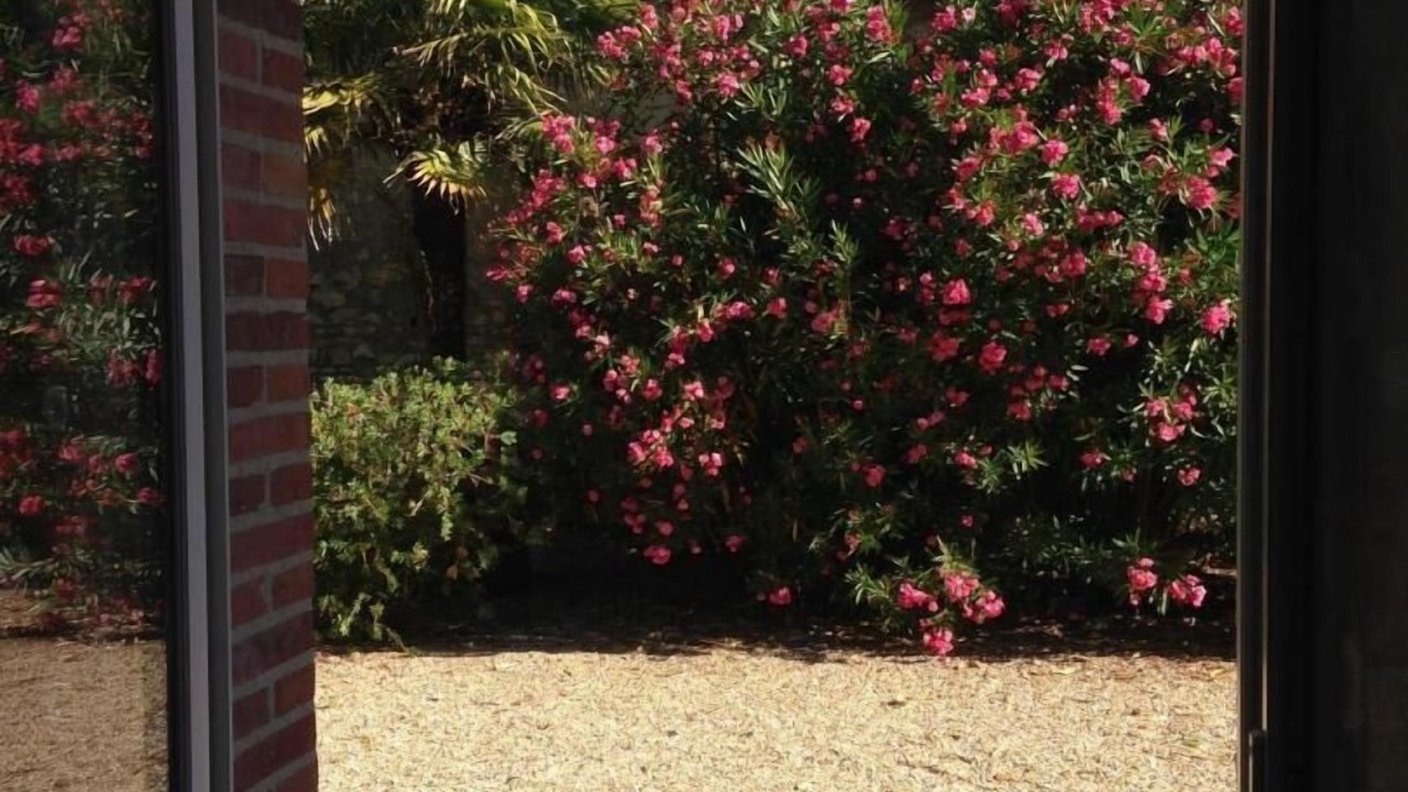 Photo of Outdoor in Queyrac