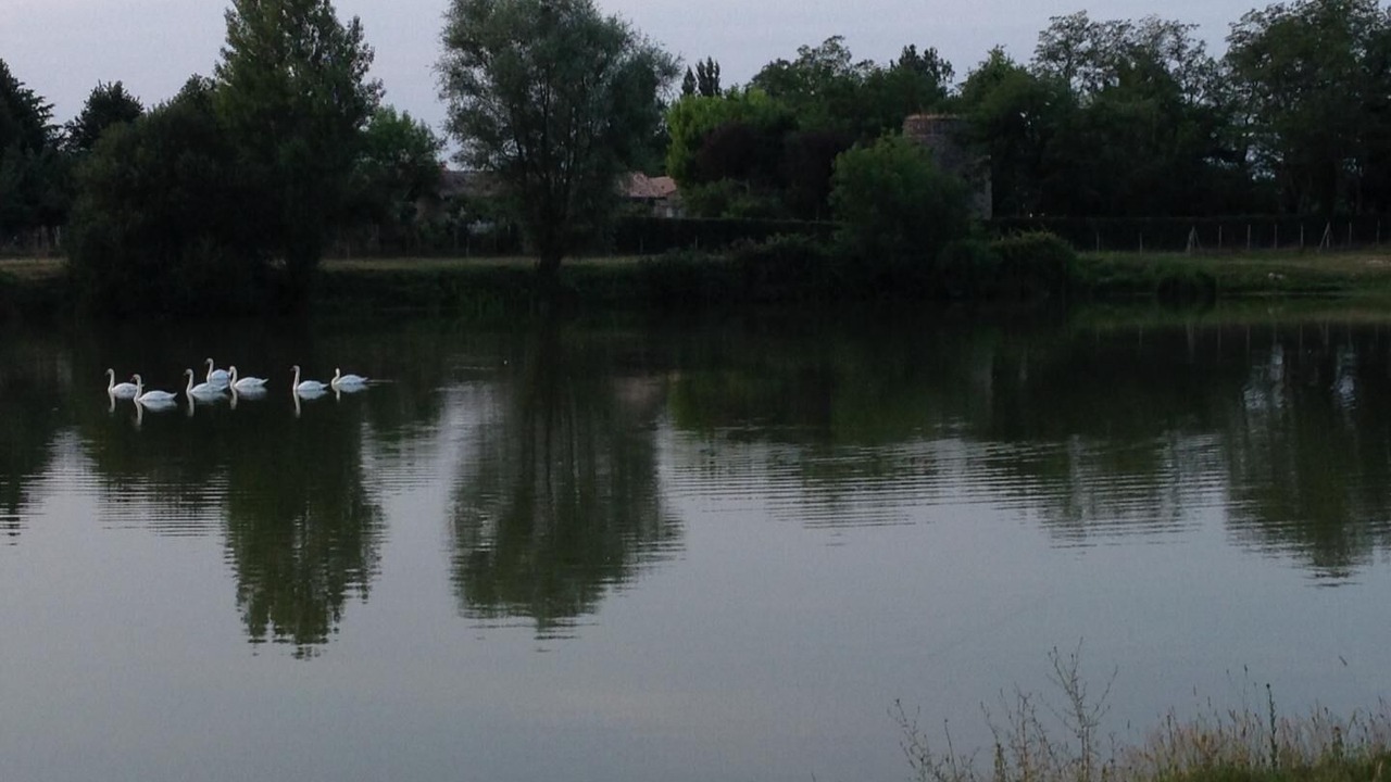 Photo of Outdoor in Queyrac