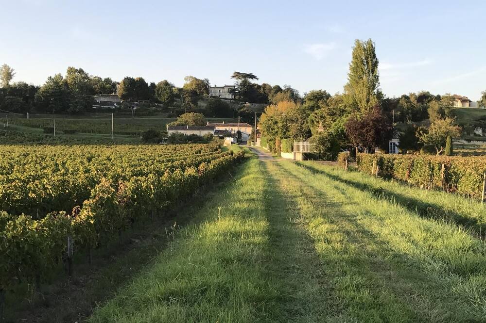 Photo of Outdoor in Bourg-sur-Gironde