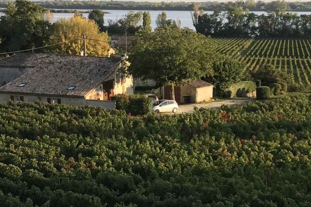 Photo of Outdoor in Bourg-sur-Gironde
