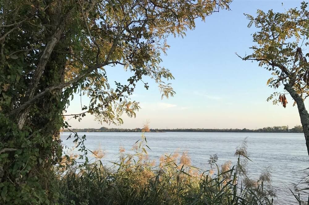 Photo of Outdoor in Bourg-sur-Gironde