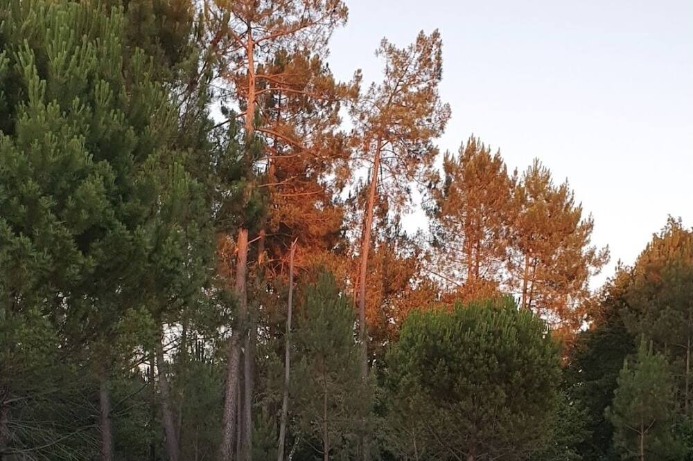 Photo of Outdoor in Mios