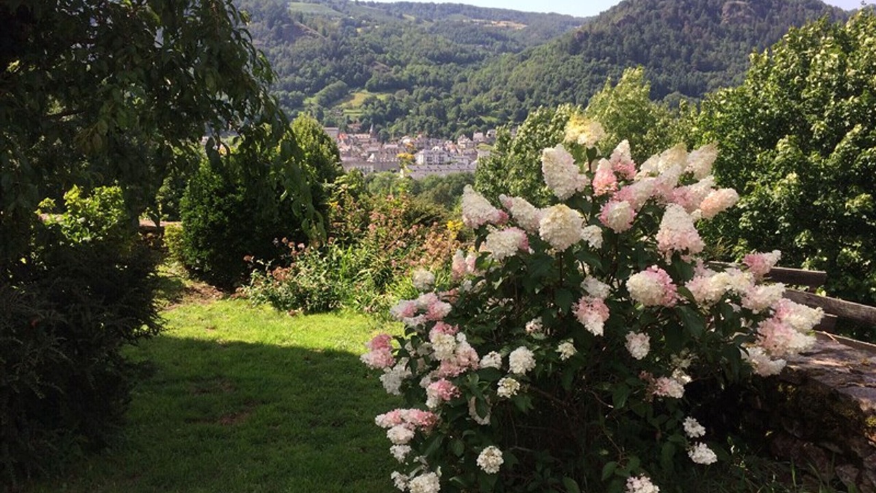 Photo of Outdoor in Vic-sur-Cere