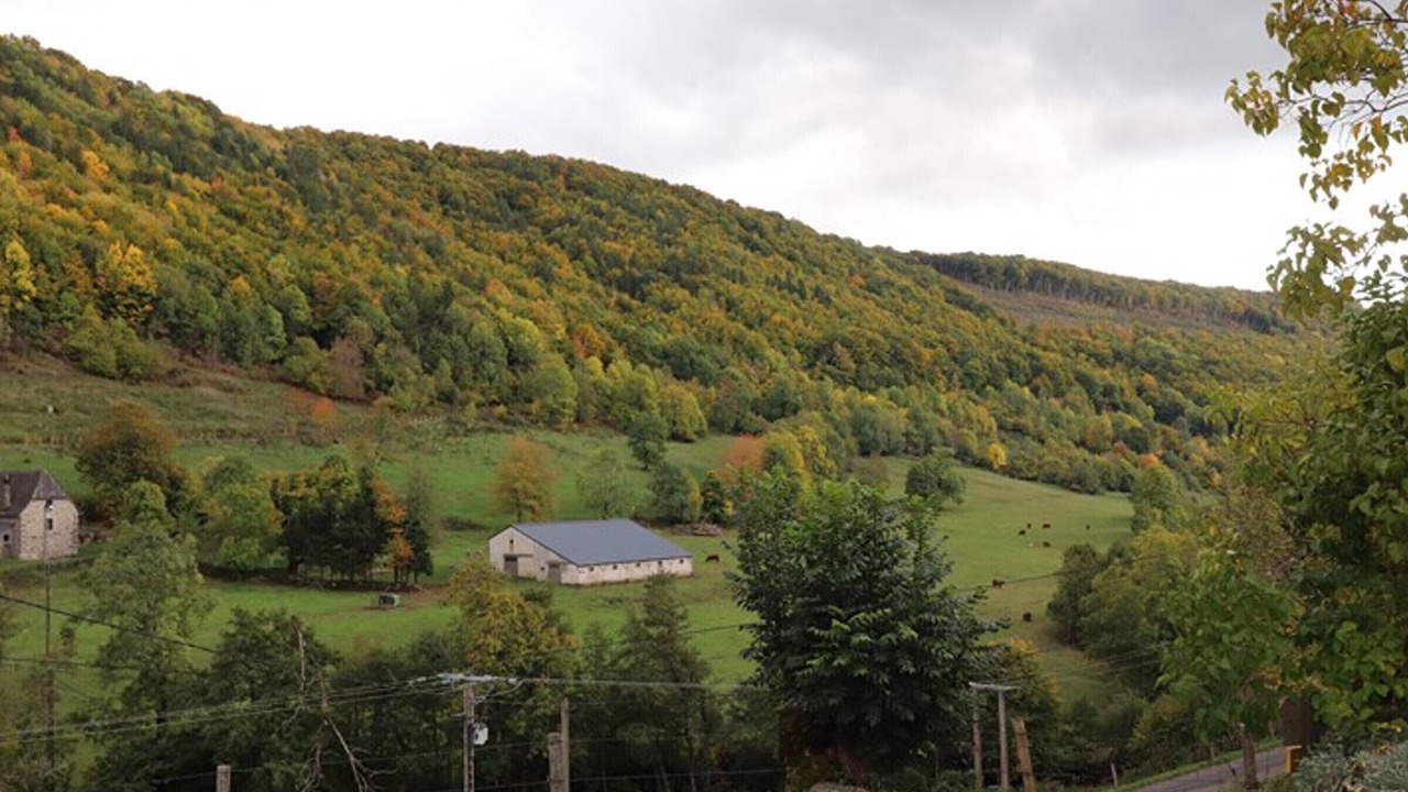Photo of Outdoor in Saint-Clement