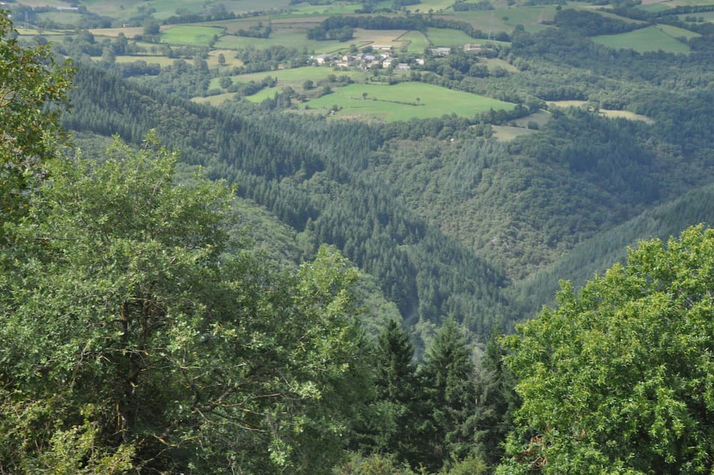 Photo of Others in Montclar
