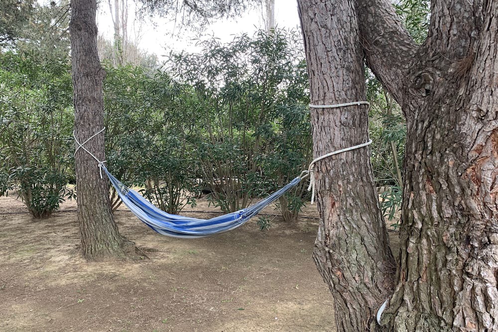 Photo of Outdoor in Saint-Nazaire