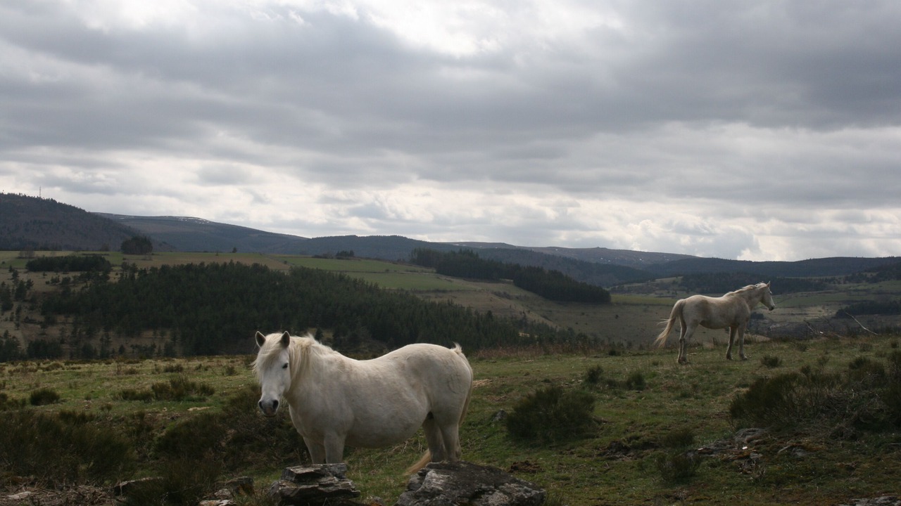 Photo of Outdoor in Cubieres