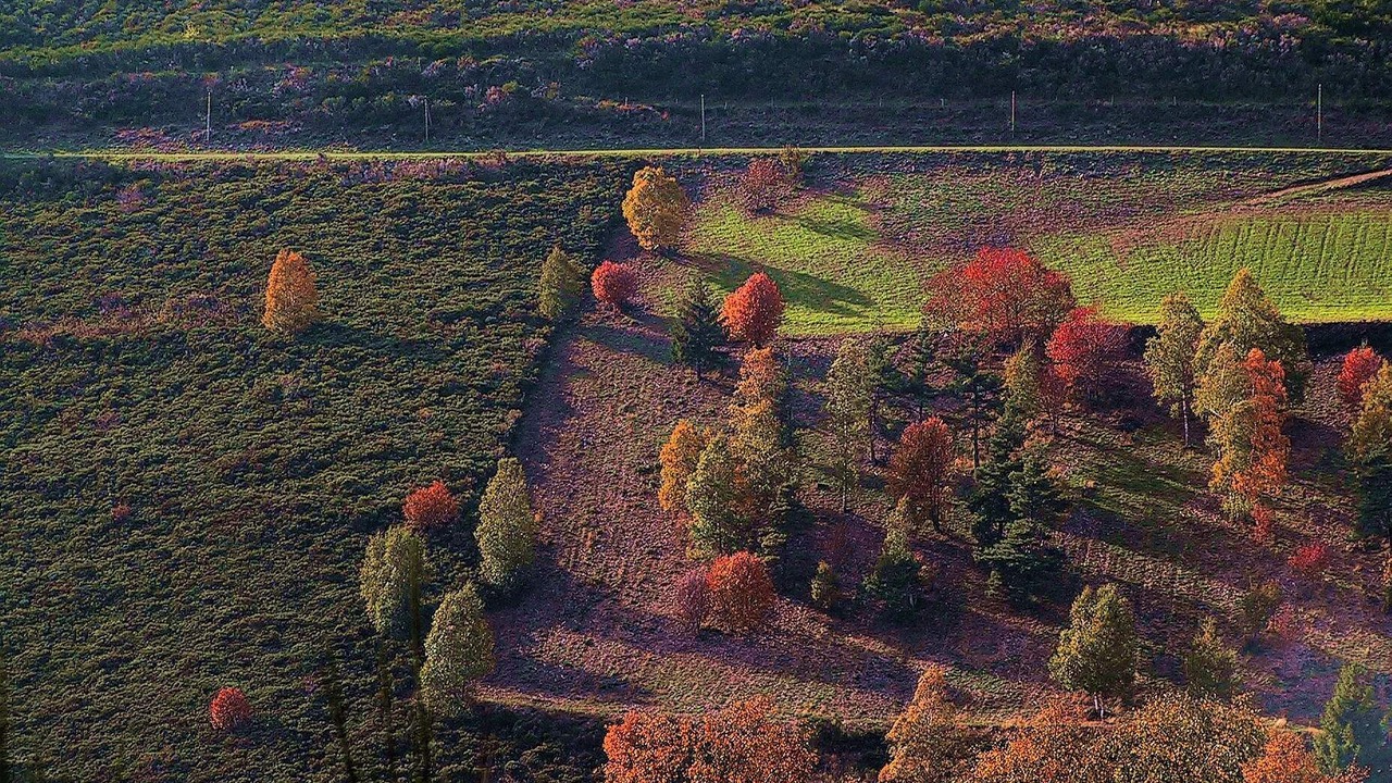 Photo of Outdoor in Cubieres