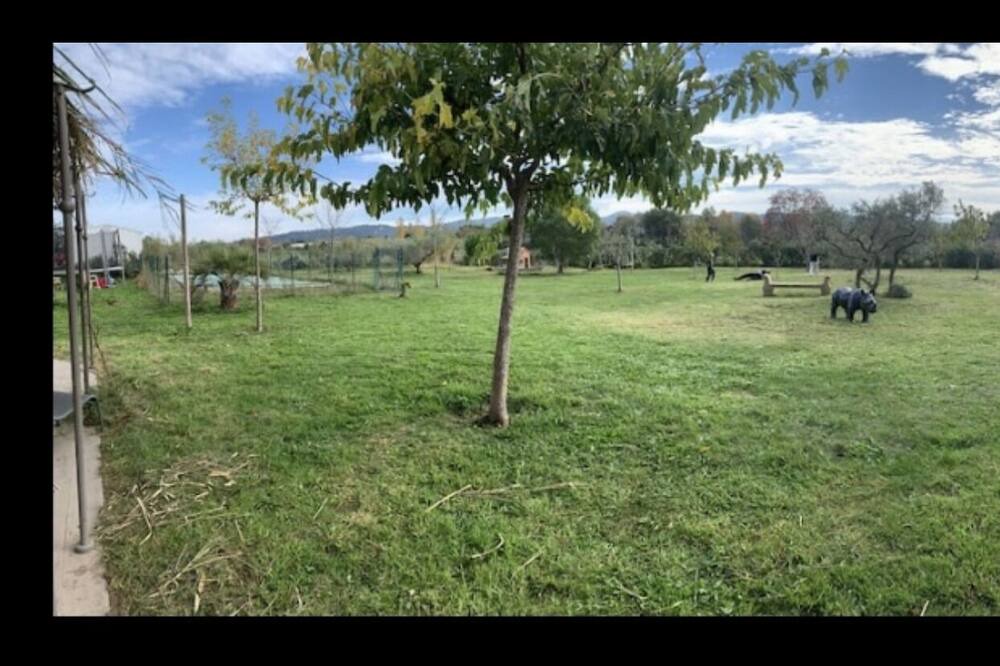 Photo of Outdoor in Charleval