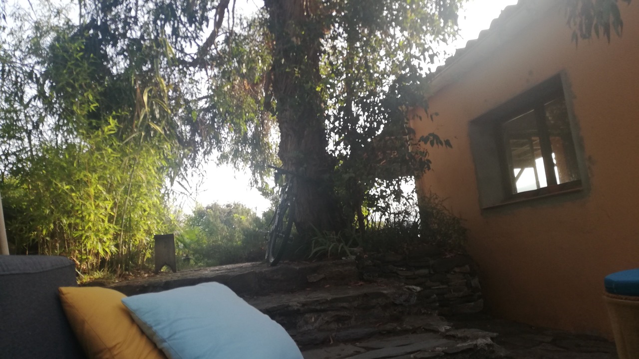 Photo of Outdoor in La Sacristie