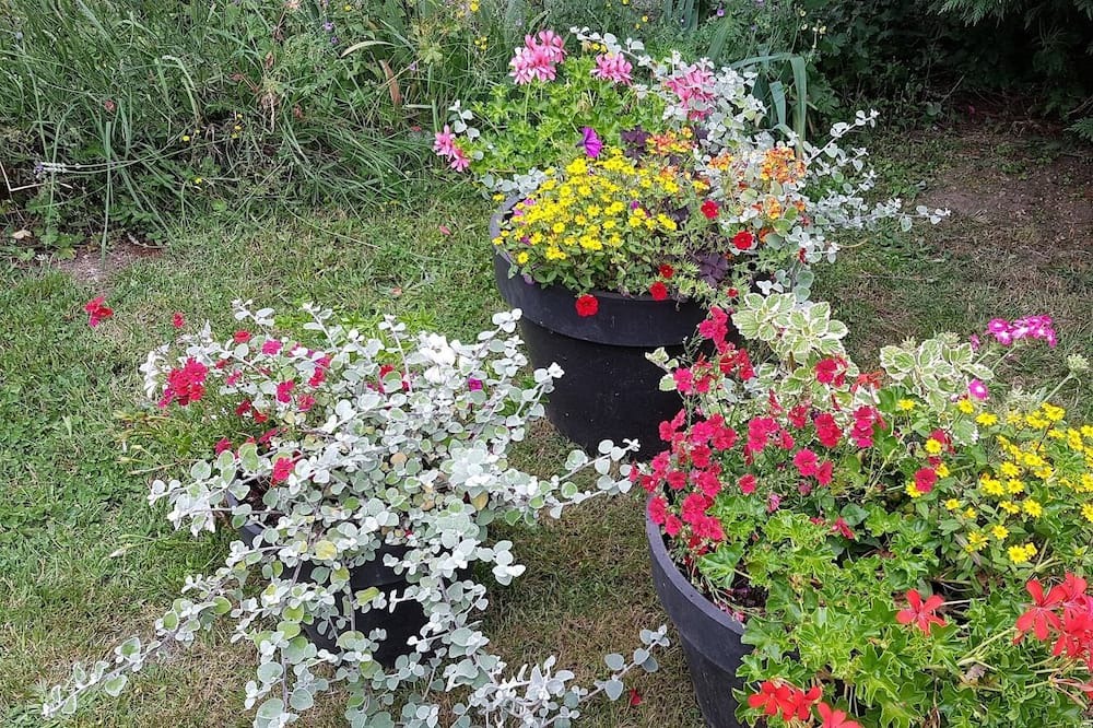 Photo of Outdoor in Saint-Symphorien
