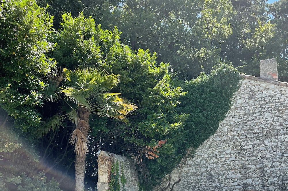 Photo of Outdoor in Rochemaure