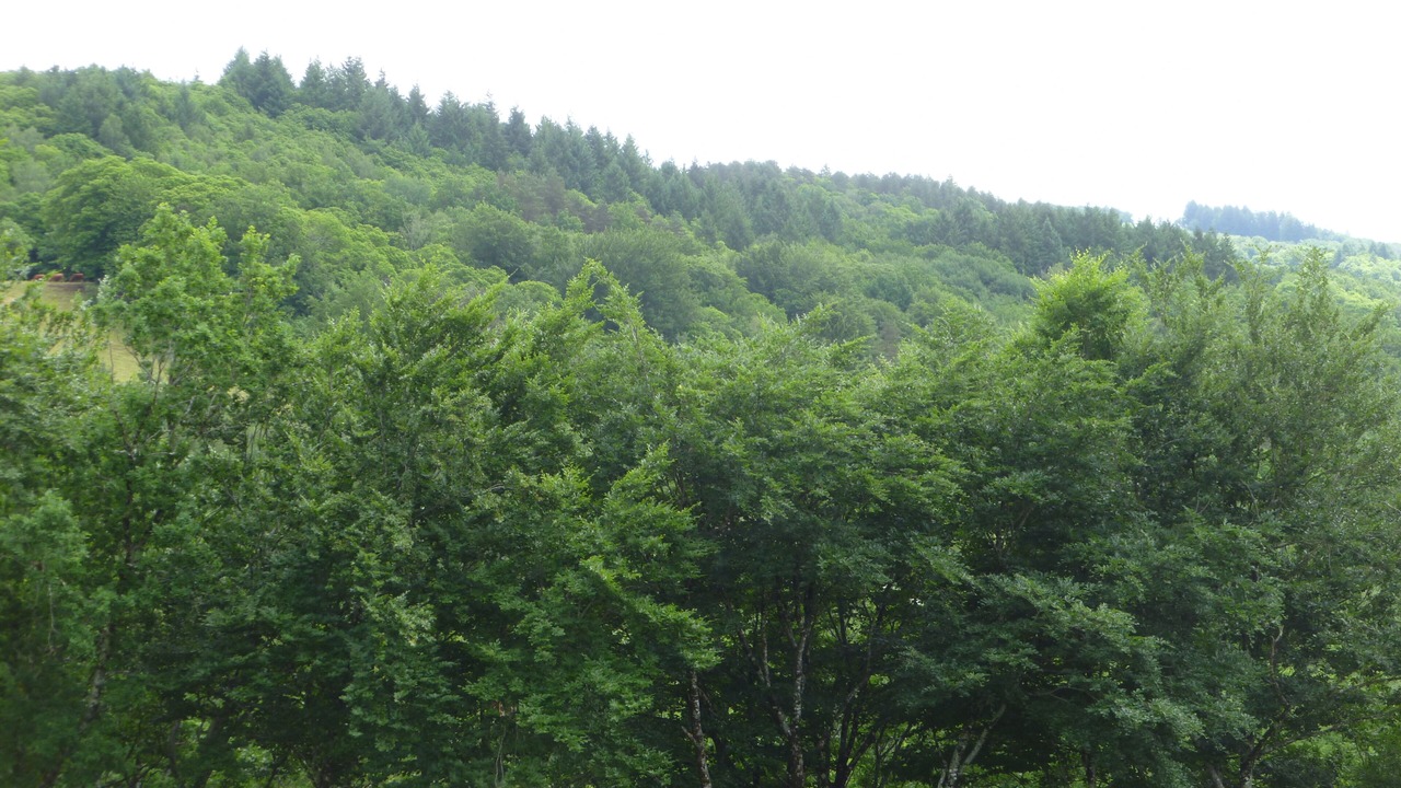 Photo of Others in Teyssieu
