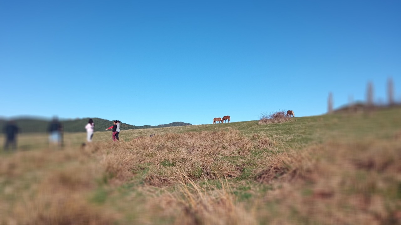 Photo of Outdoor in Laspaules