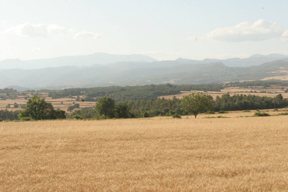 Photo of Others in Gargalla
