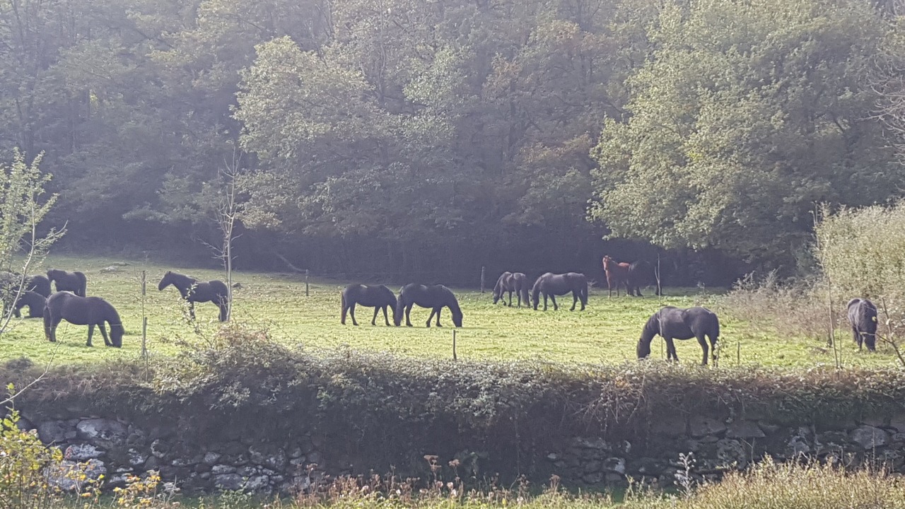 Photo of Outdoor in Orgeix