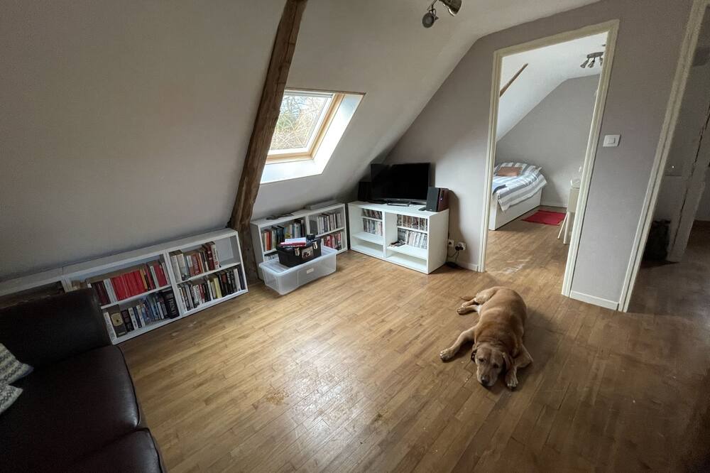 Photo of Livingroom in Saint-Saud-Lacoussiere
