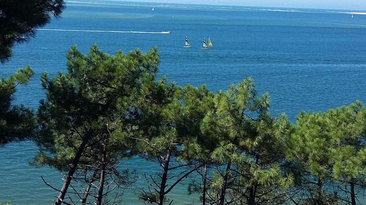 Photo of Others in Salles