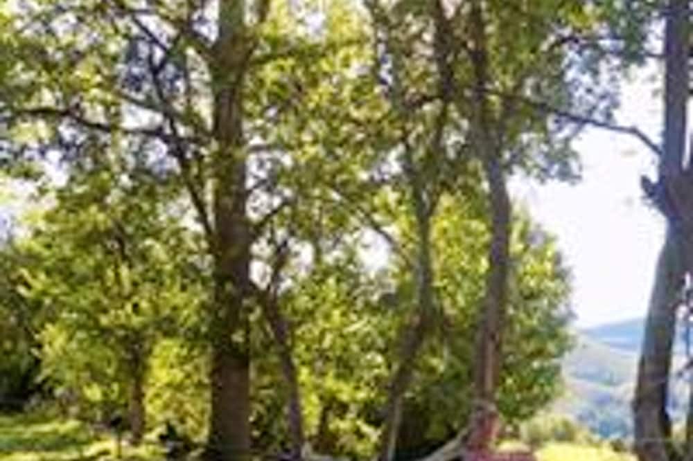 Photo of Outdoor in Ardanue