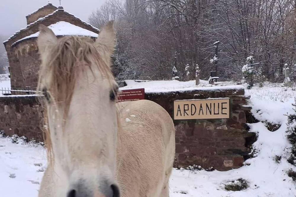 Photo of Outdoor in Ardanue