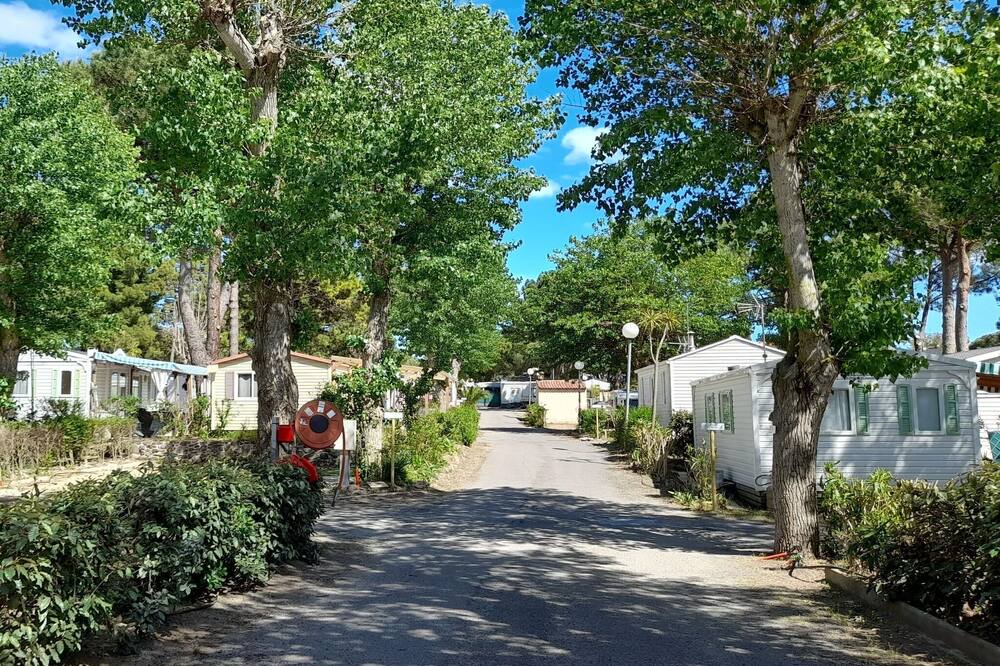 Photo of Others in Le Grau-dʼAgde