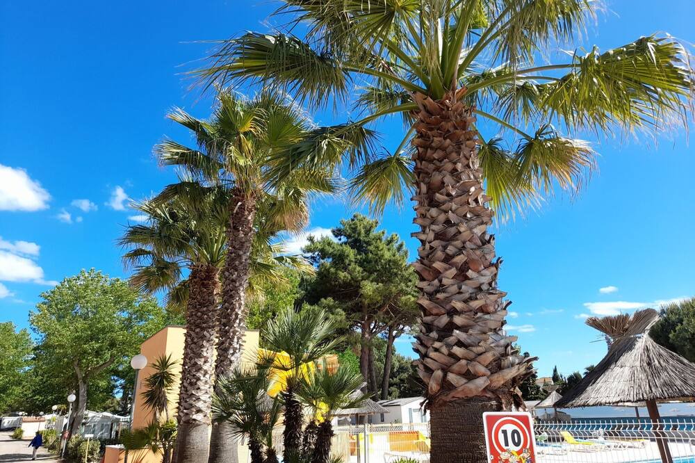 Photo of Others in Le Grau-dʼAgde