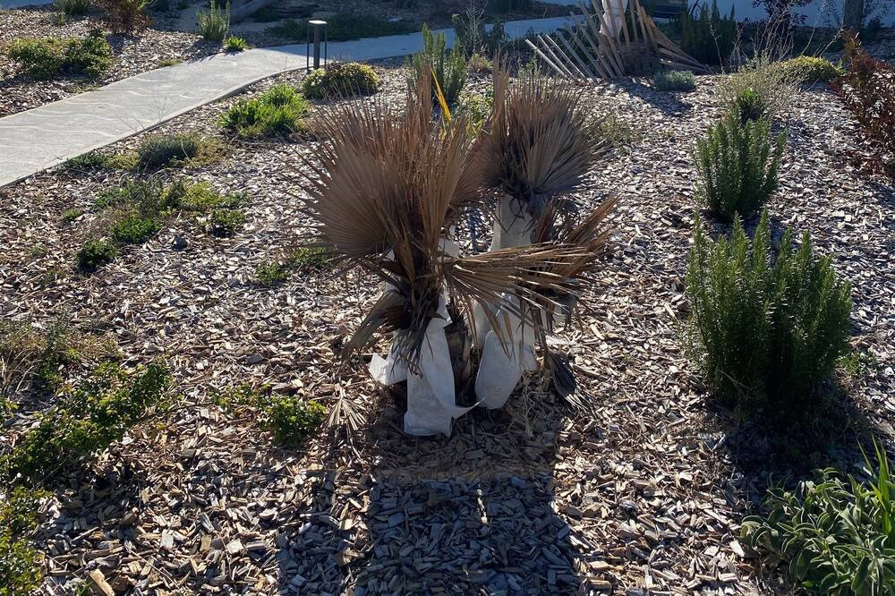 Photo of Outdoor in Ruoms